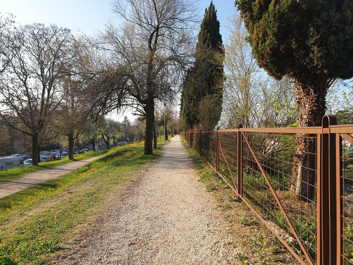 Divina San Zeno Lägenhet Verona Exteriör bild