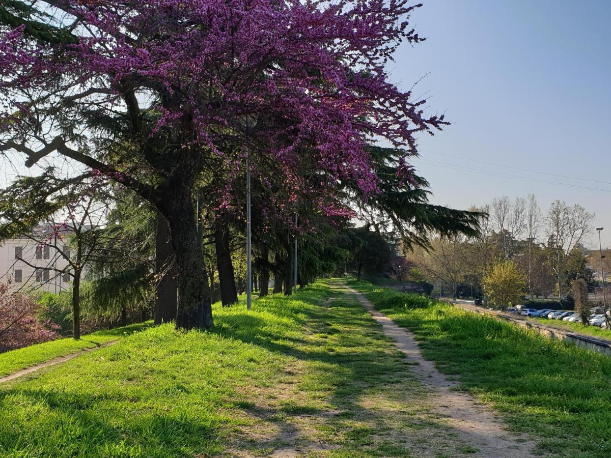 Divina San Zeno Lägenhet Verona Exteriör bild